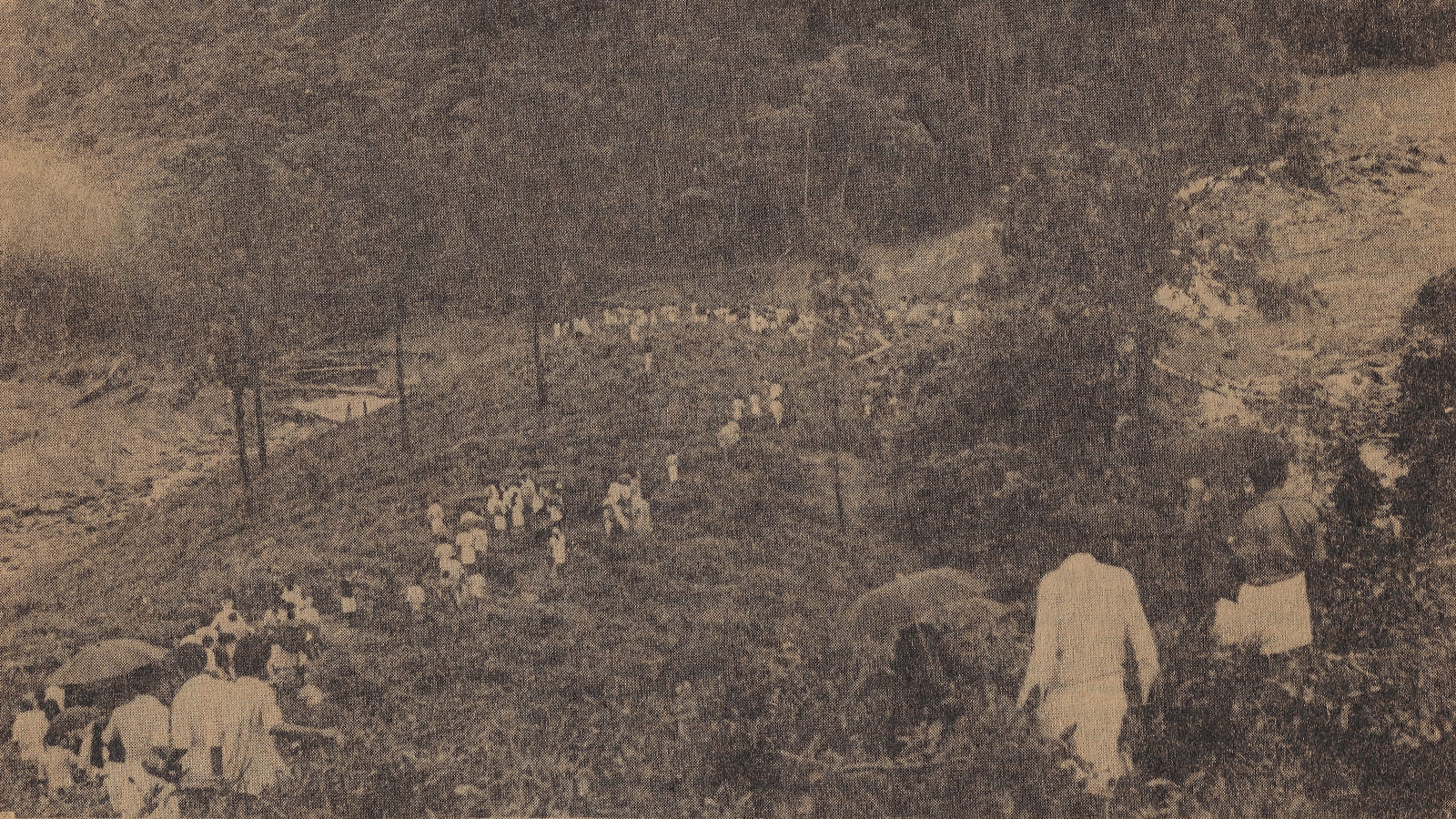 literature write image